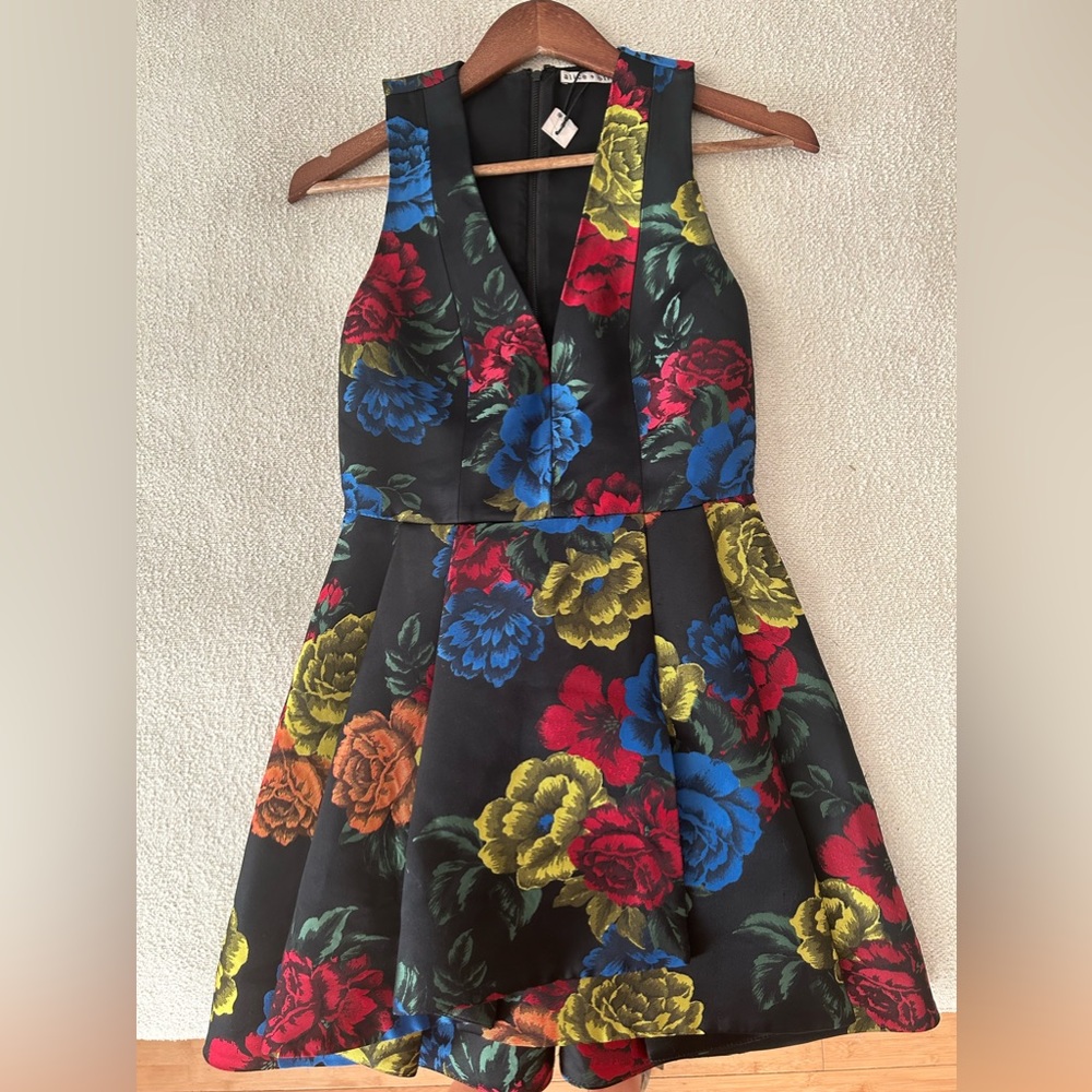 Alice + Olivia dress, worn twice, dry cleaned, in great condition.